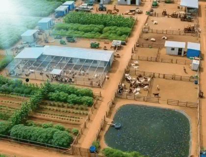 دراسة جدوى مشروع مزرعة متكاملة